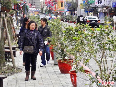 道路擺放盆栽